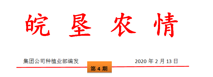 2020年安徽沿淮稻茬小麦春季田间管理技术指导意见